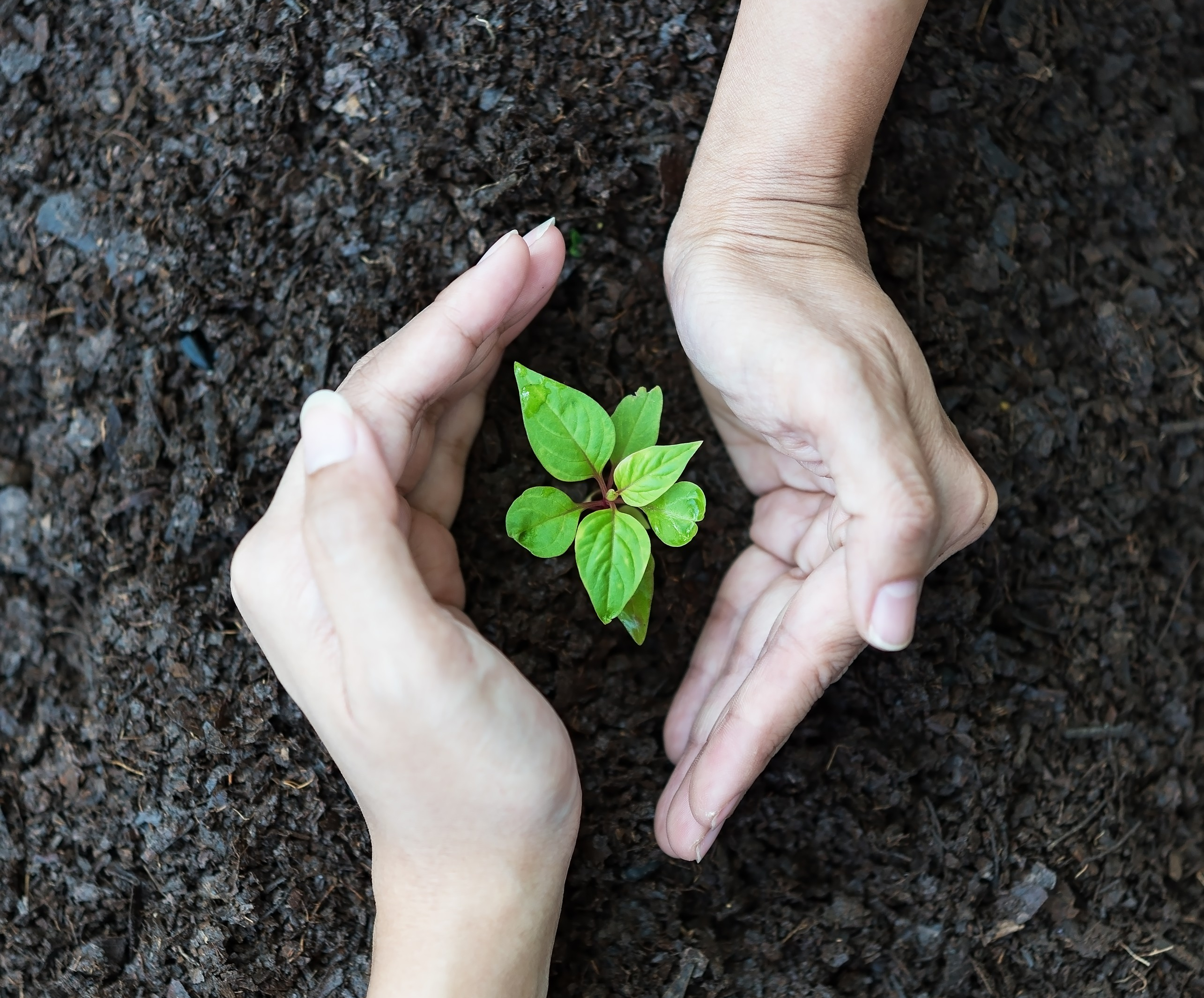 Environmental Stewardship